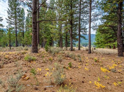 503 Redtail Loop, Clio, CA 96106 Photo
