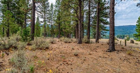 503 Redtail Loop, Clio, CA 96106 Photo