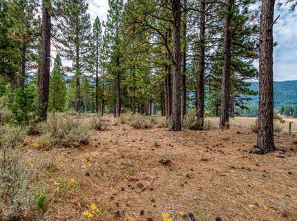 503 Redtail Loop, Clio, CA 96106 Photo