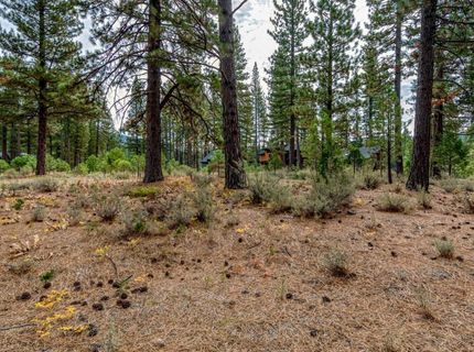 503 Redtail Loop, Clio, CA 96106 Photo