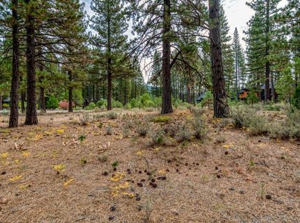 503 Redtail Loop, Clio, CA 96106 Photo