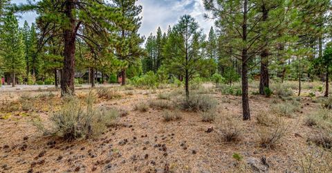503 Redtail Loop, Clio, CA 96106 Photo