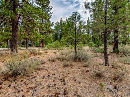 503 Redtail Loop, Clio, CA 96106 Photo