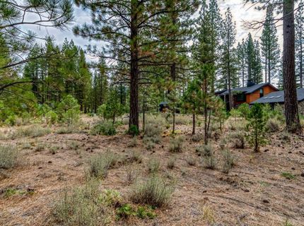 503 Redtail Loop, Clio, CA 96106 Photo