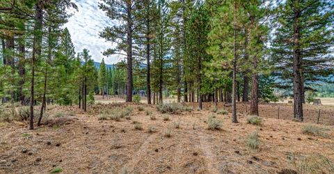 503 Redtail Loop, Clio, CA 96106 Photo
