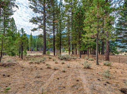 503 Redtail Loop, Clio, CA 96106 Photo