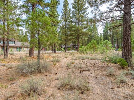 503 Redtail Loop, Clio, CA 96106 Photo