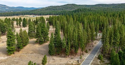 503 Redtail Loop, Clio, CA 96106 Photo