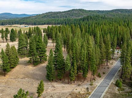 503 Redtail Loop, Clio, CA 96106 Photo