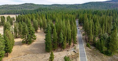 503 Redtail Loop, Clio, CA 96106 Photo