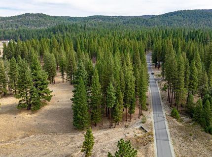 503 Redtail Loop, Clio, CA 96106 Photo