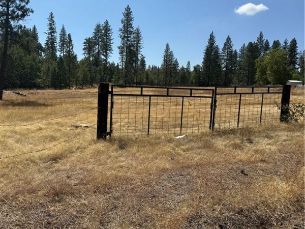 6479 Pine Drive, Coulterville, CA 95311