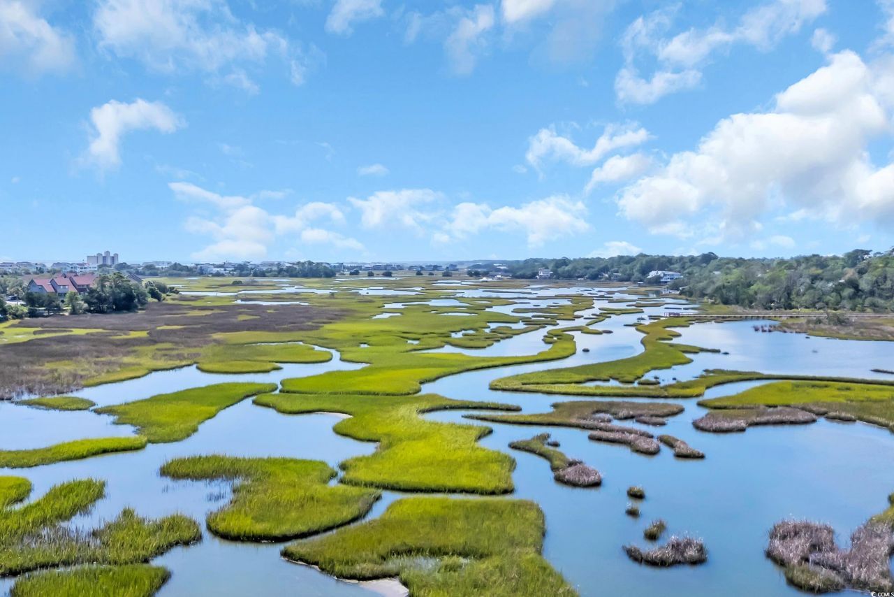 30 Spartina Ct. Photo 38