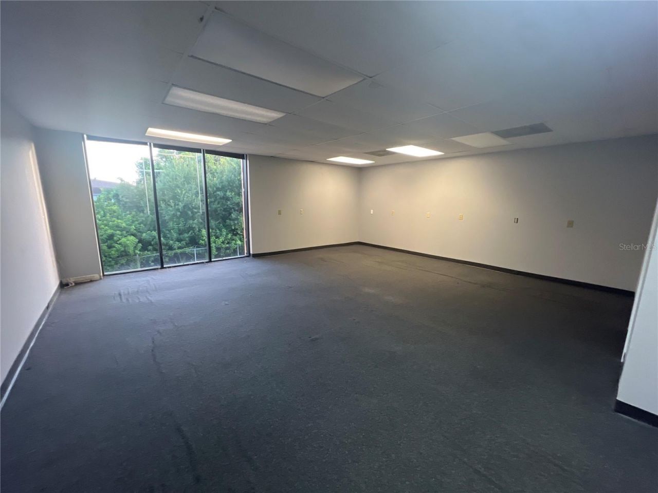 7815 N Dale Mabry Highway, Tampa, FL 33614 Photo