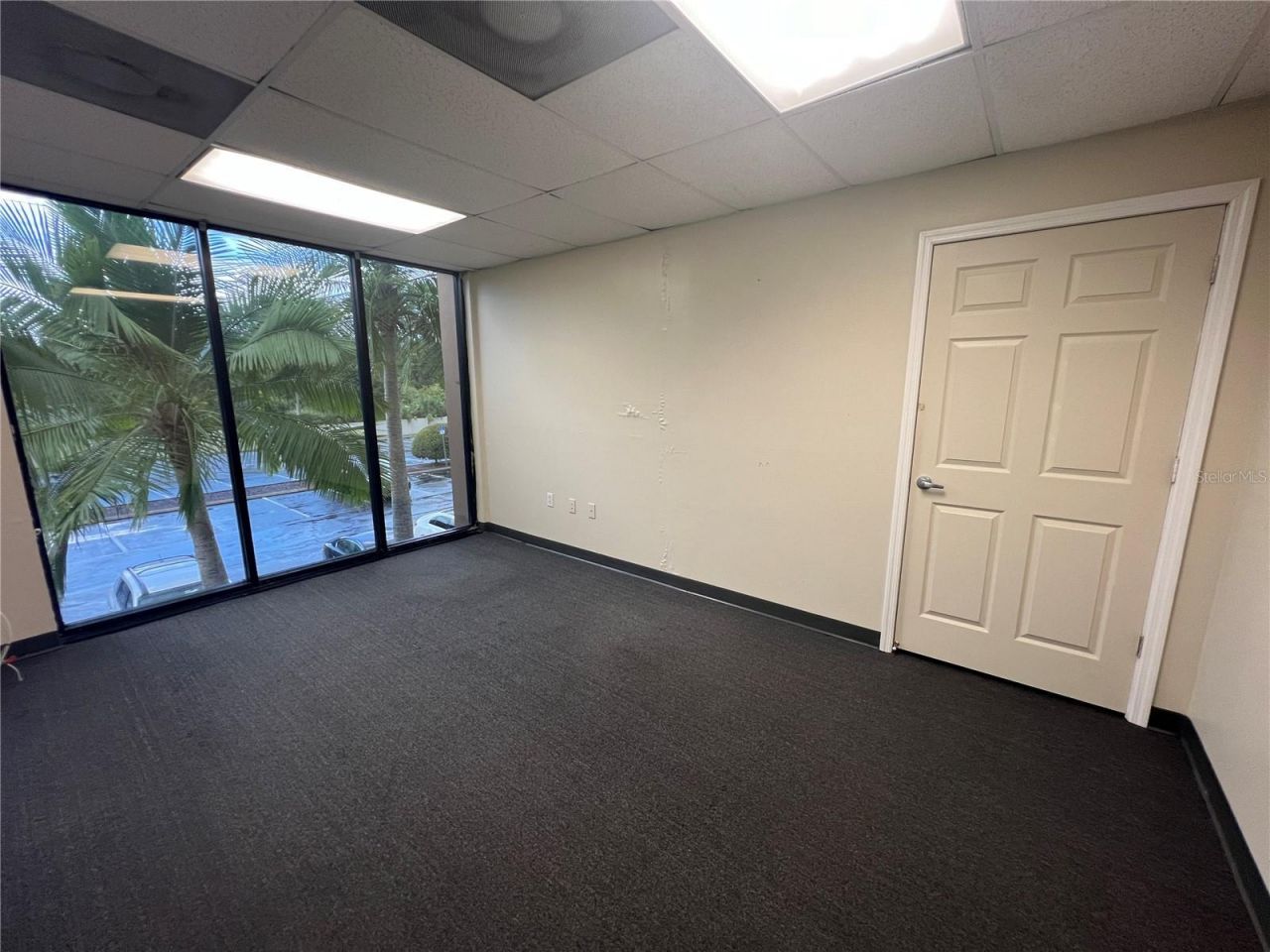 7815 N Dale Mabry Highway, Tampa, FL 33614 Photo