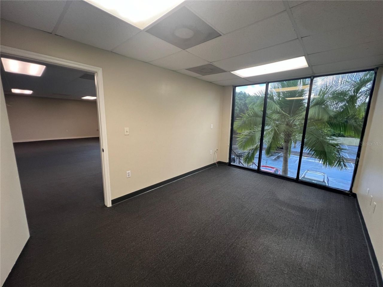 7815 N Dale Mabry Highway, Tampa, FL 33614 Photo