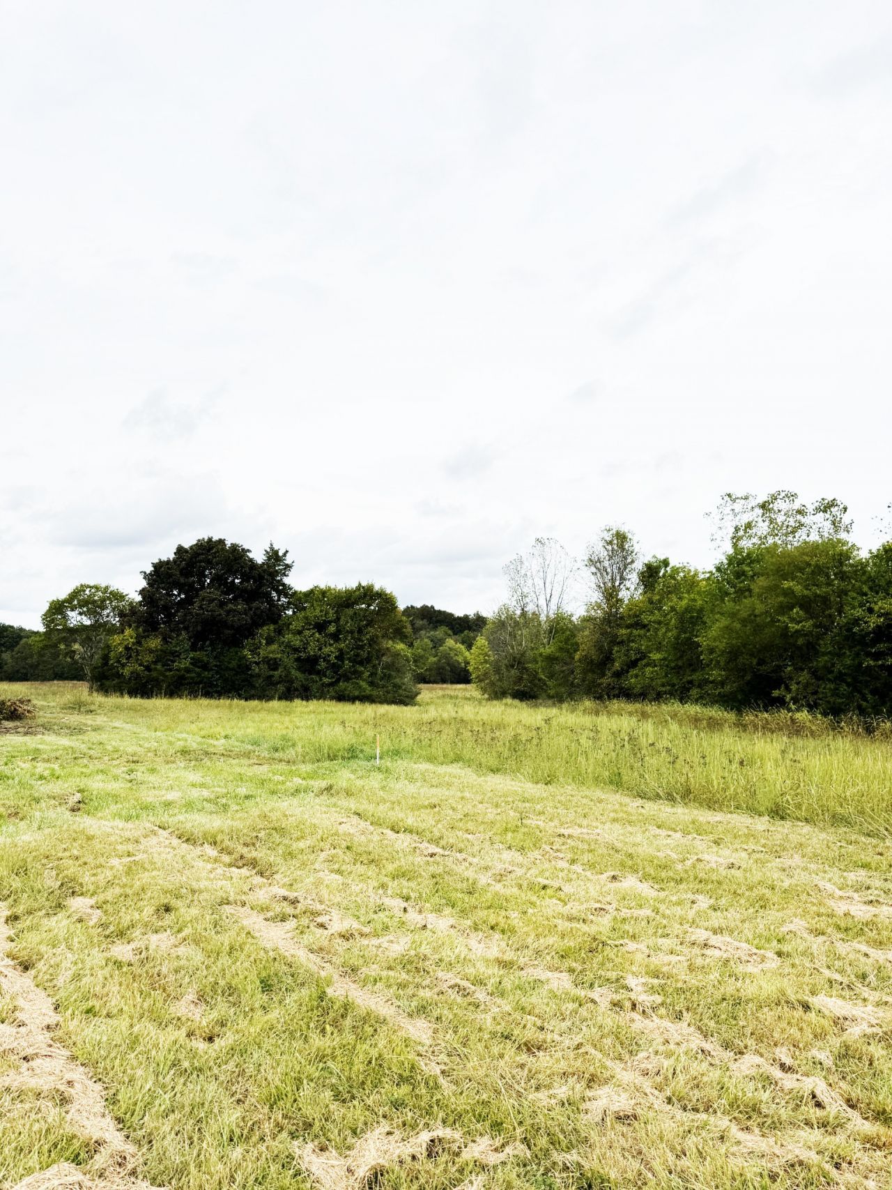 9245 Trousdale Ferry Pike, Lebanon, TN 37087 Main Photo