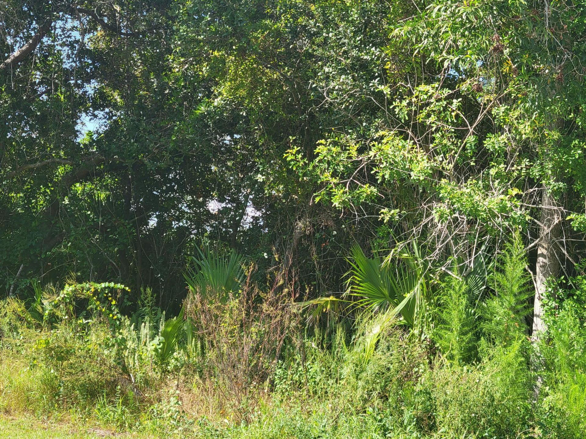 474 SW Kaabe Avenue, Port Saint Lucie, FL 34953 Photo