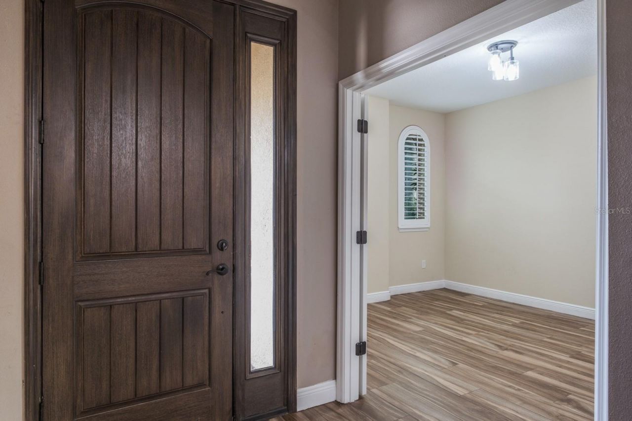 165 Mobbly Bay Drive, Oldsmar, FL 34677 Photo