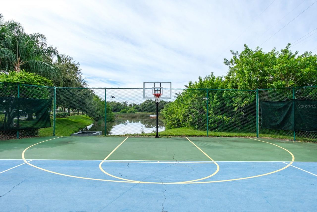 165 Mobbly Bay Drive, Oldsmar, FL 34677 Photo