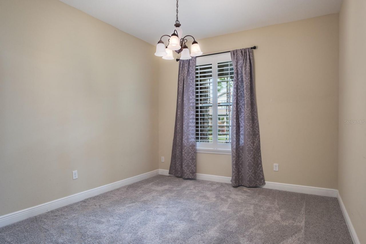 165 Mobbly Bay Drive, Oldsmar, FL 34677 Photo