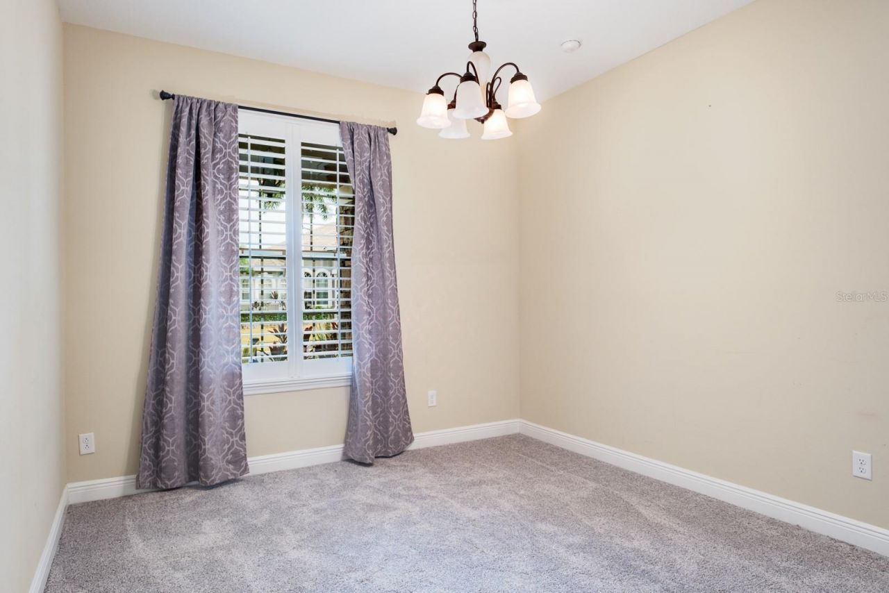 165 Mobbly Bay Drive, Oldsmar, FL 34677 Photo