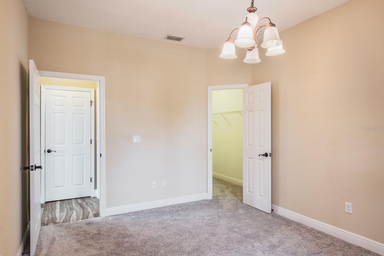 165 Mobbly Bay Drive, Oldsmar, FL 34677 Photo