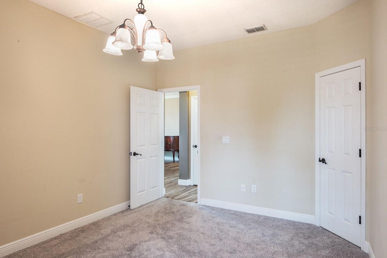 165 Mobbly Bay Drive, Oldsmar, FL 34677 Photo