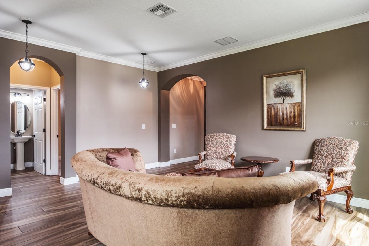 165 Mobbly Bay Drive, Oldsmar, FL 34677 Photo