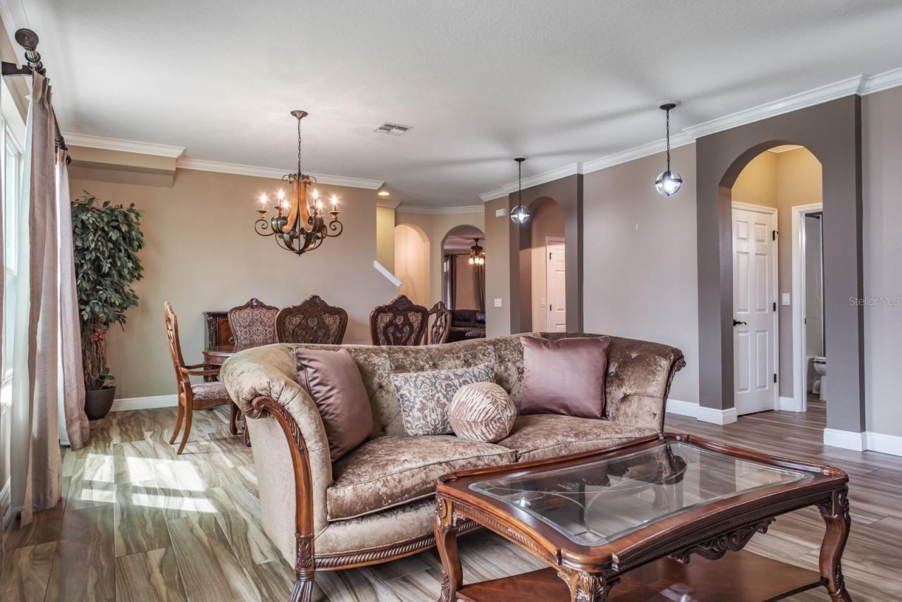 165 Mobbly Bay Drive, Oldsmar, FL 34677 Photo