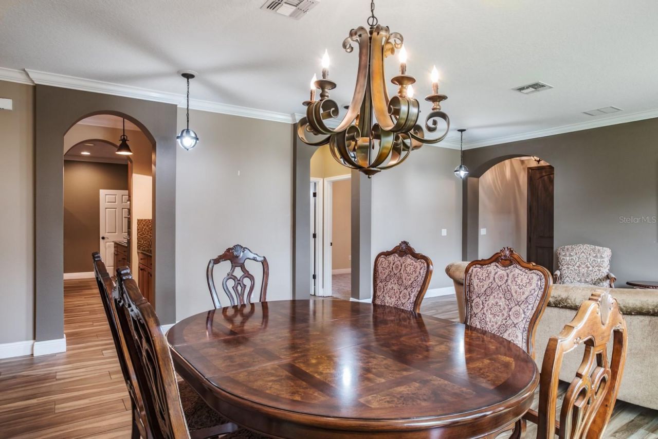 165 Mobbly Bay Drive, Oldsmar, FL 34677 Photo