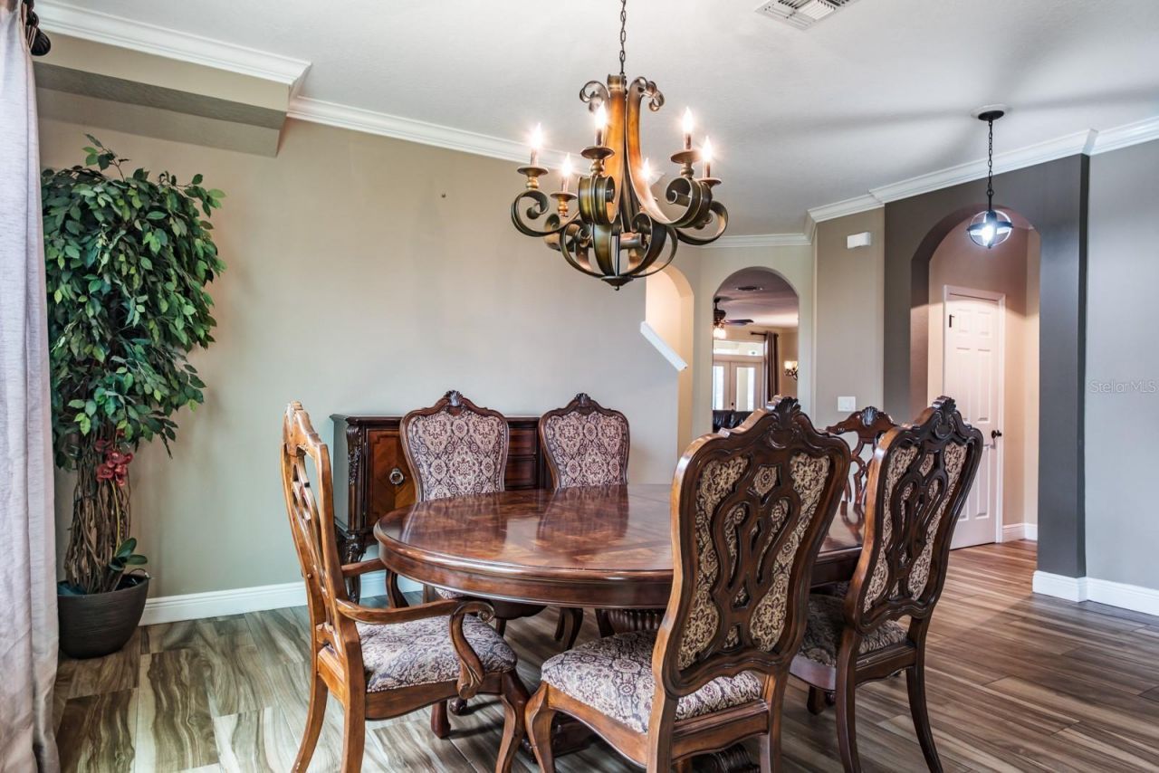 165 Mobbly Bay Drive, Oldsmar, FL 34677 Photo