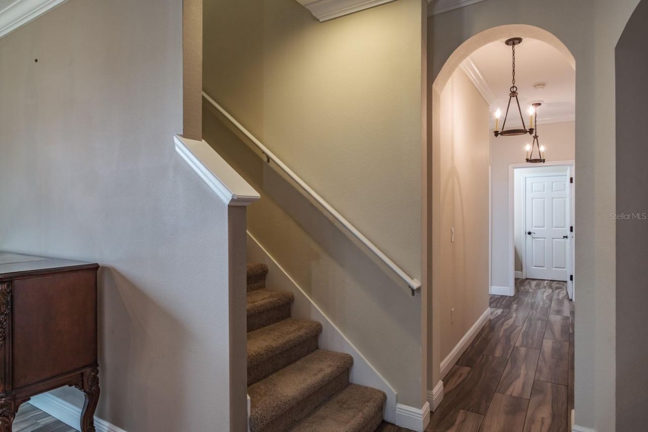 165 Mobbly Bay Drive, Oldsmar, FL 34677 Photo