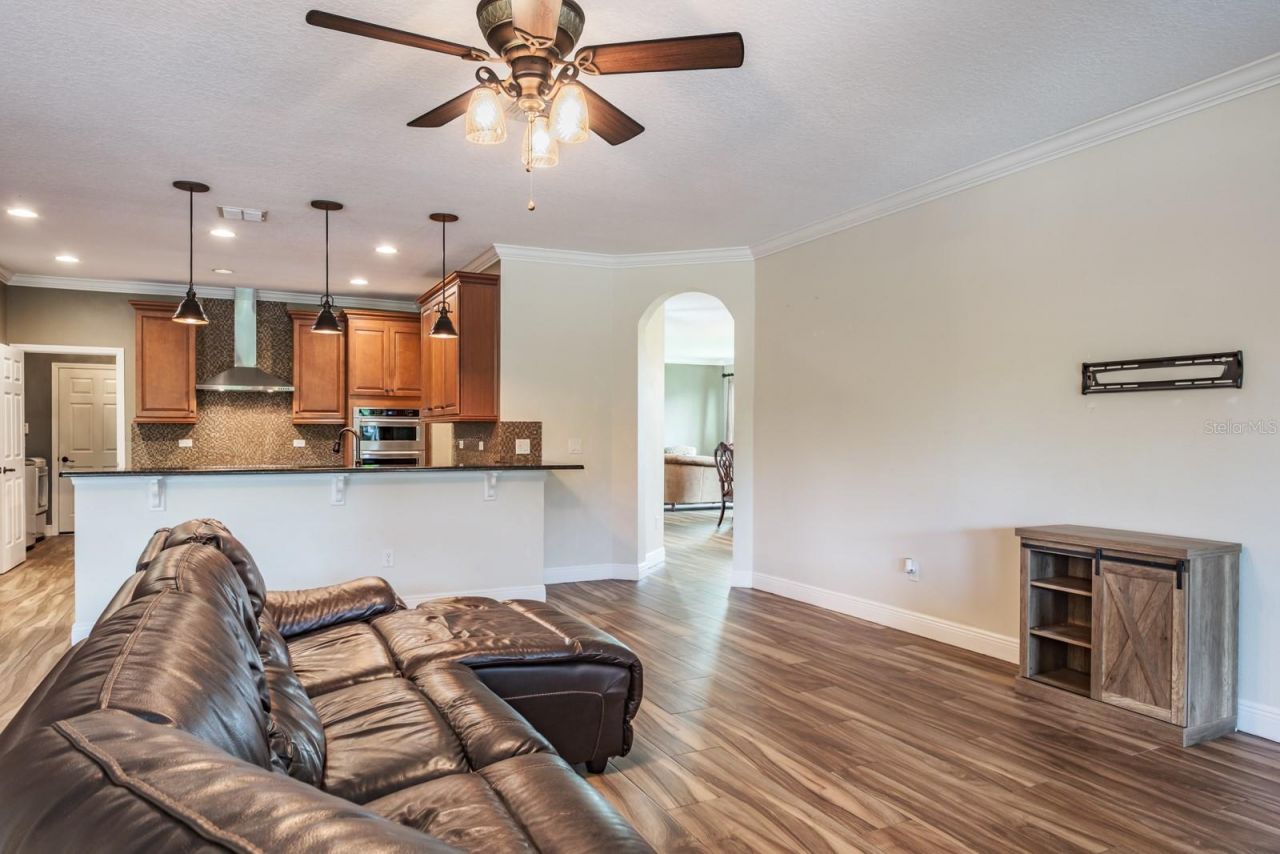 165 Mobbly Bay Drive, Oldsmar, FL 34677 Photo