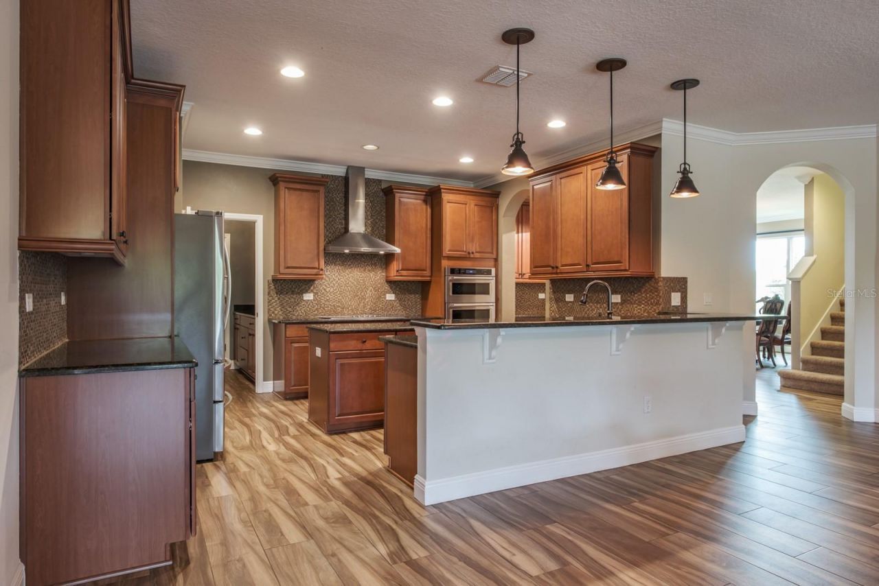 165 Mobbly Bay Drive, Oldsmar, FL 34677 Photo