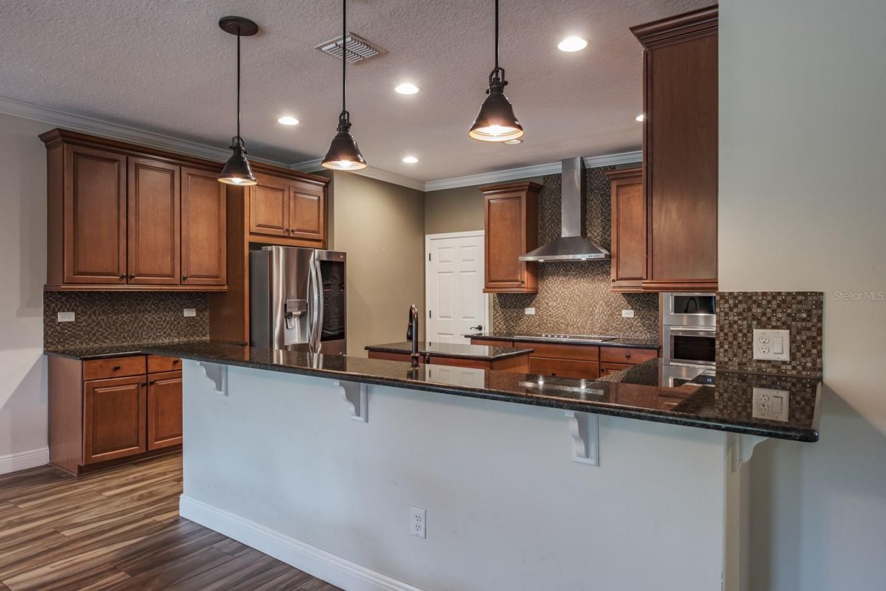 165 Mobbly Bay Drive, Oldsmar, FL 34677 Photo