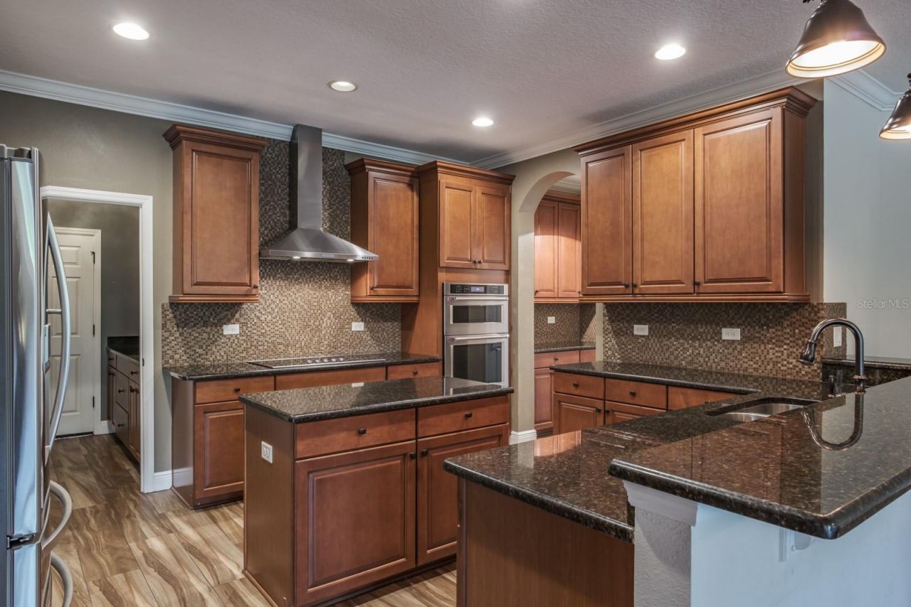 165 Mobbly Bay Drive, Oldsmar, FL 34677 Photo