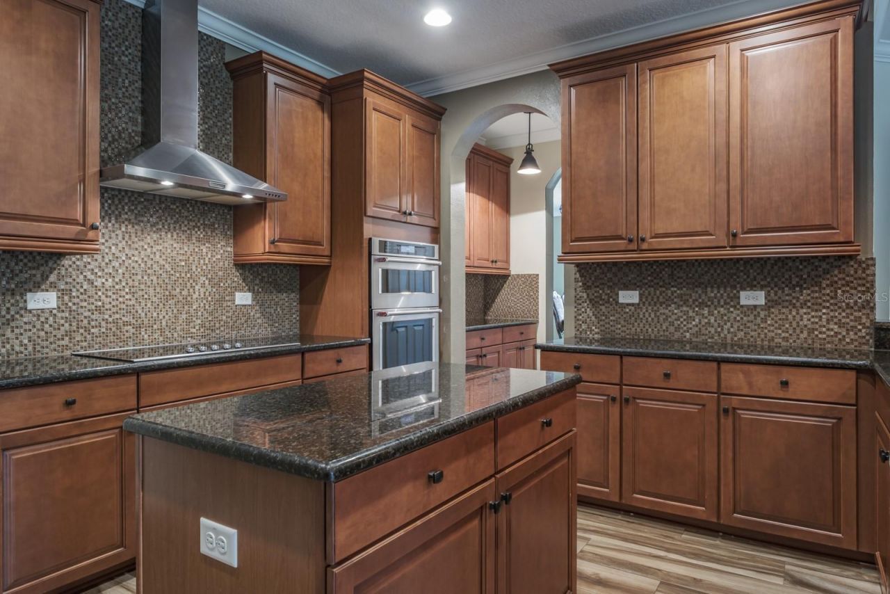 165 Mobbly Bay Drive, Oldsmar, FL 34677 Photo