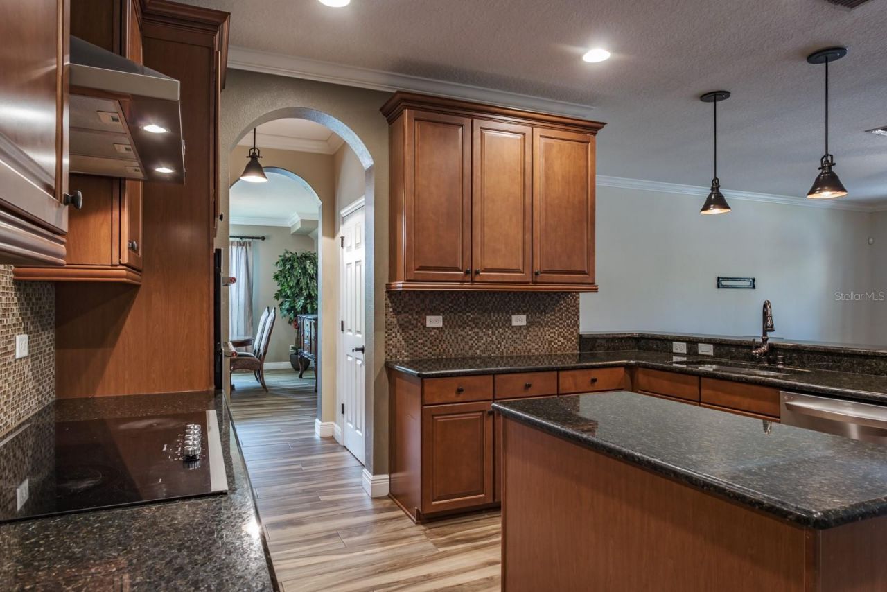 165 Mobbly Bay Drive, Oldsmar, FL 34677 Photo