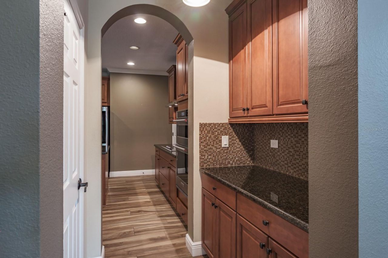 165 Mobbly Bay Drive, Oldsmar, FL 34677 Photo