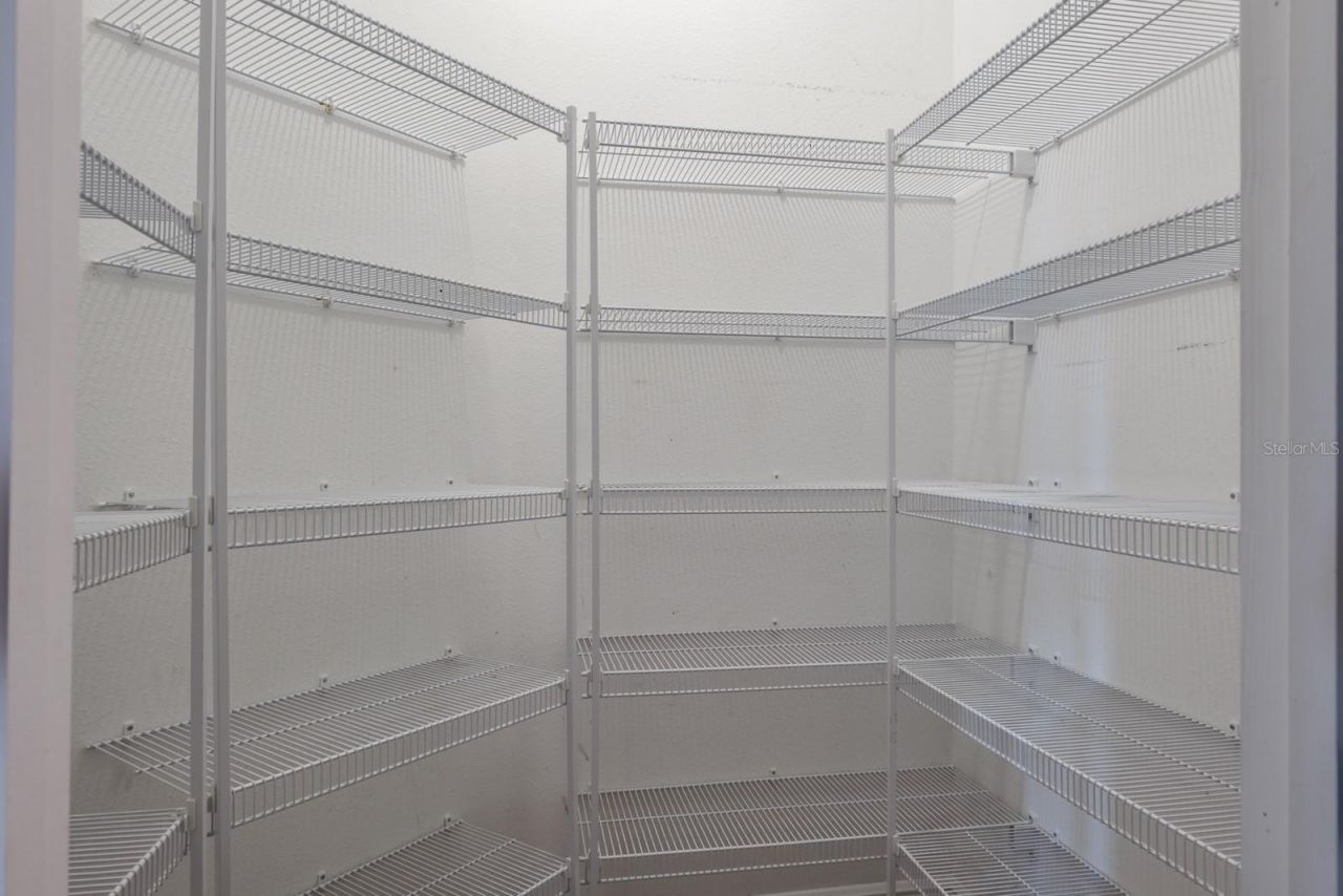 165 Mobbly Bay Drive, Oldsmar, FL 34677 Photo