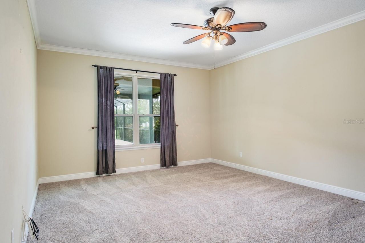 165 Mobbly Bay Drive, Oldsmar, FL 34677 Photo