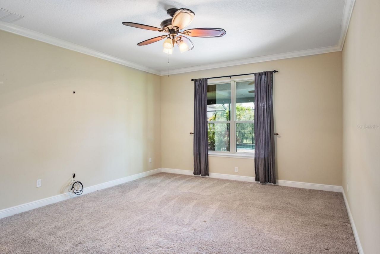 165 Mobbly Bay Drive, Oldsmar, FL 34677 Photo