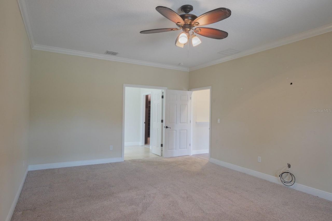 165 Mobbly Bay Drive, Oldsmar, FL 34677 Photo