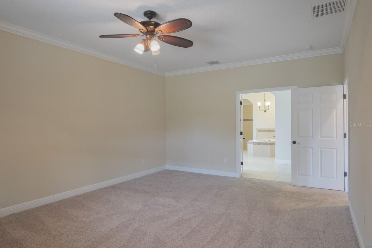 165 Mobbly Bay Drive, Oldsmar, FL 34677 Photo