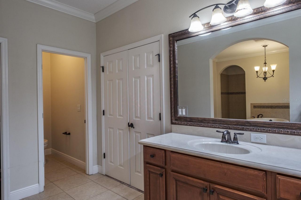 165 Mobbly Bay Drive, Oldsmar, FL 34677 Photo