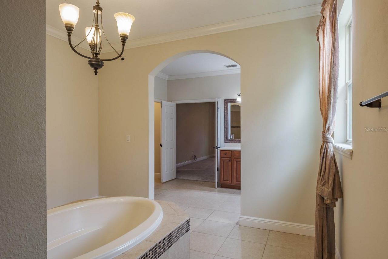 165 Mobbly Bay Drive, Oldsmar, FL 34677 Photo