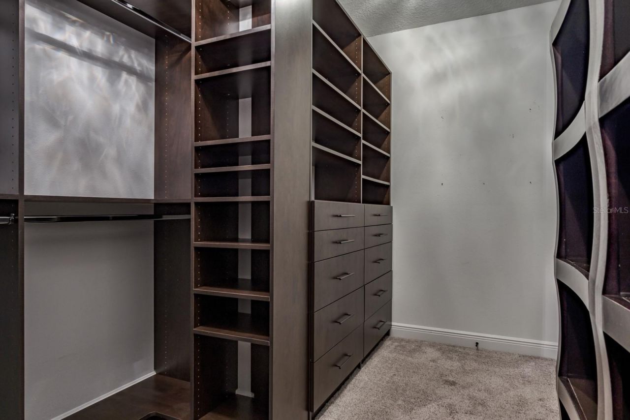 165 Mobbly Bay Drive, Oldsmar, FL 34677 Photo