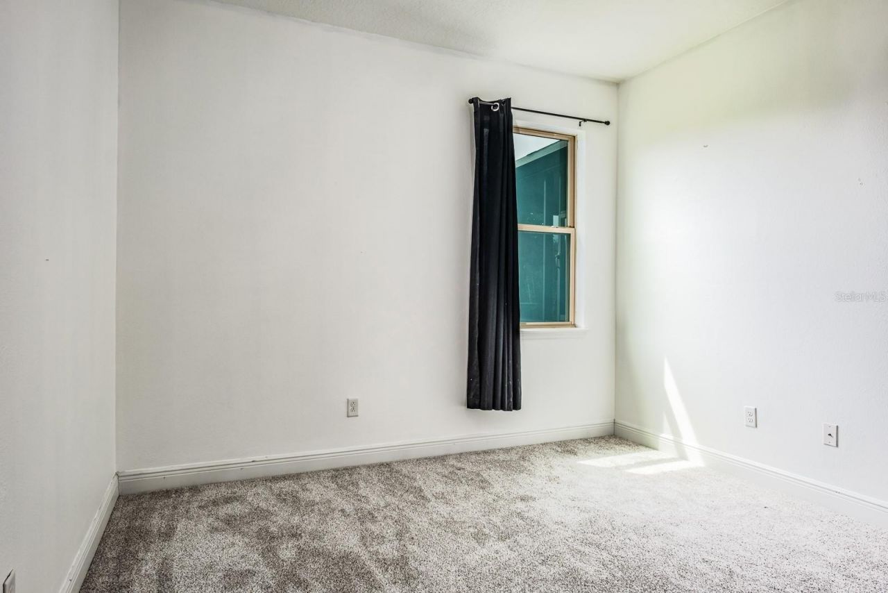 165 Mobbly Bay Drive, Oldsmar, FL 34677 Photo