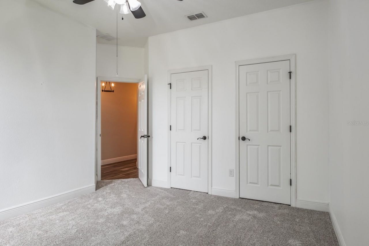 165 Mobbly Bay Drive, Oldsmar, FL 34677 Photo